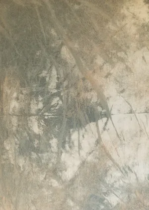 Circus Sycamore- 5'x7' Weathered Backdrop in a Bag
