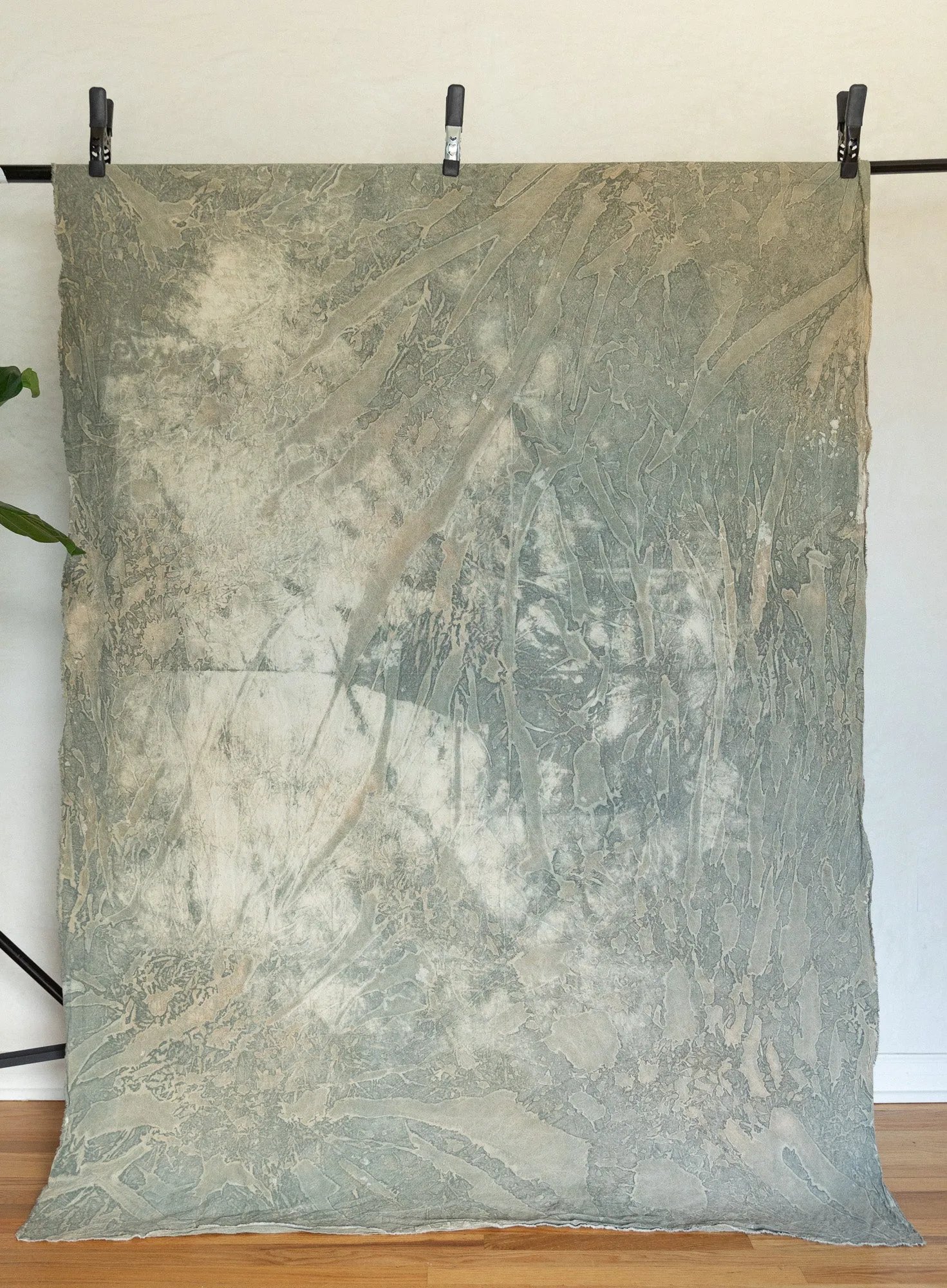 Circus Sycamore- 5'x7' Weathered Backdrop in a Bag