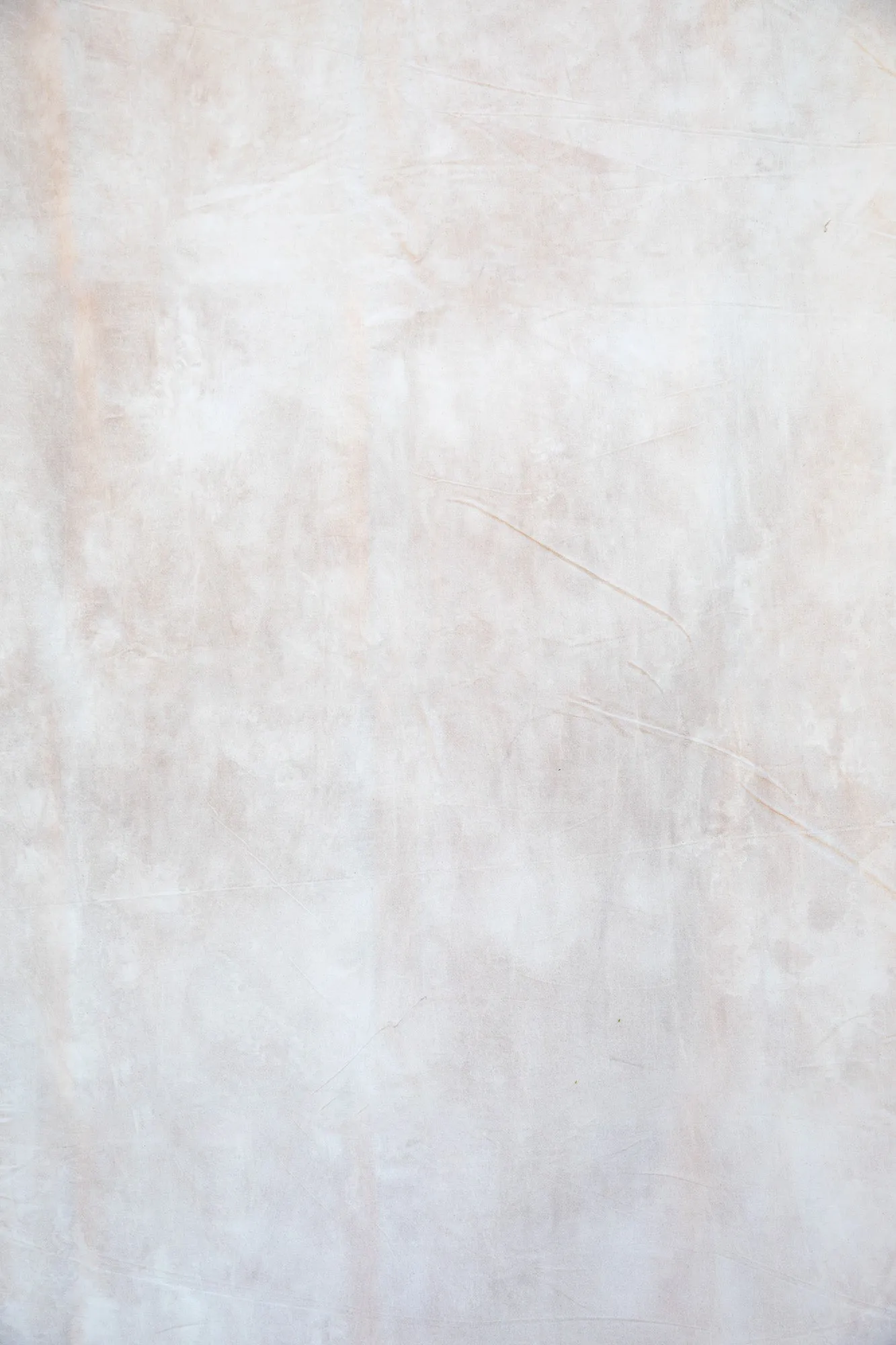 Desert Bloom #0690 6’8”x10’ Hand Painted BIG Muslin Backdrop in a Bag