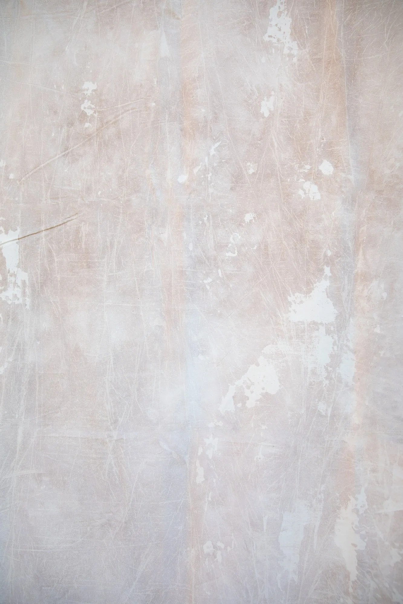 Desert Bloom #0690 6’8”x10’ Hand Painted BIG Muslin Backdrop in a Bag