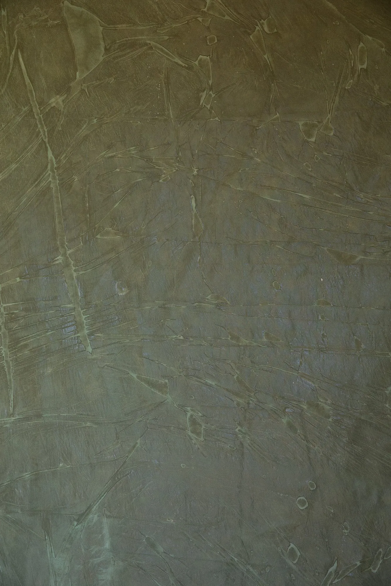 Spanish Moss #0737 Hand Painted Big Muslin Backdrop in a Bag